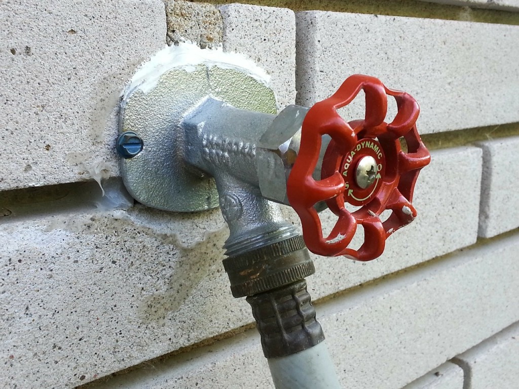 Pure Water Versus Tap Water Detroit Sponge