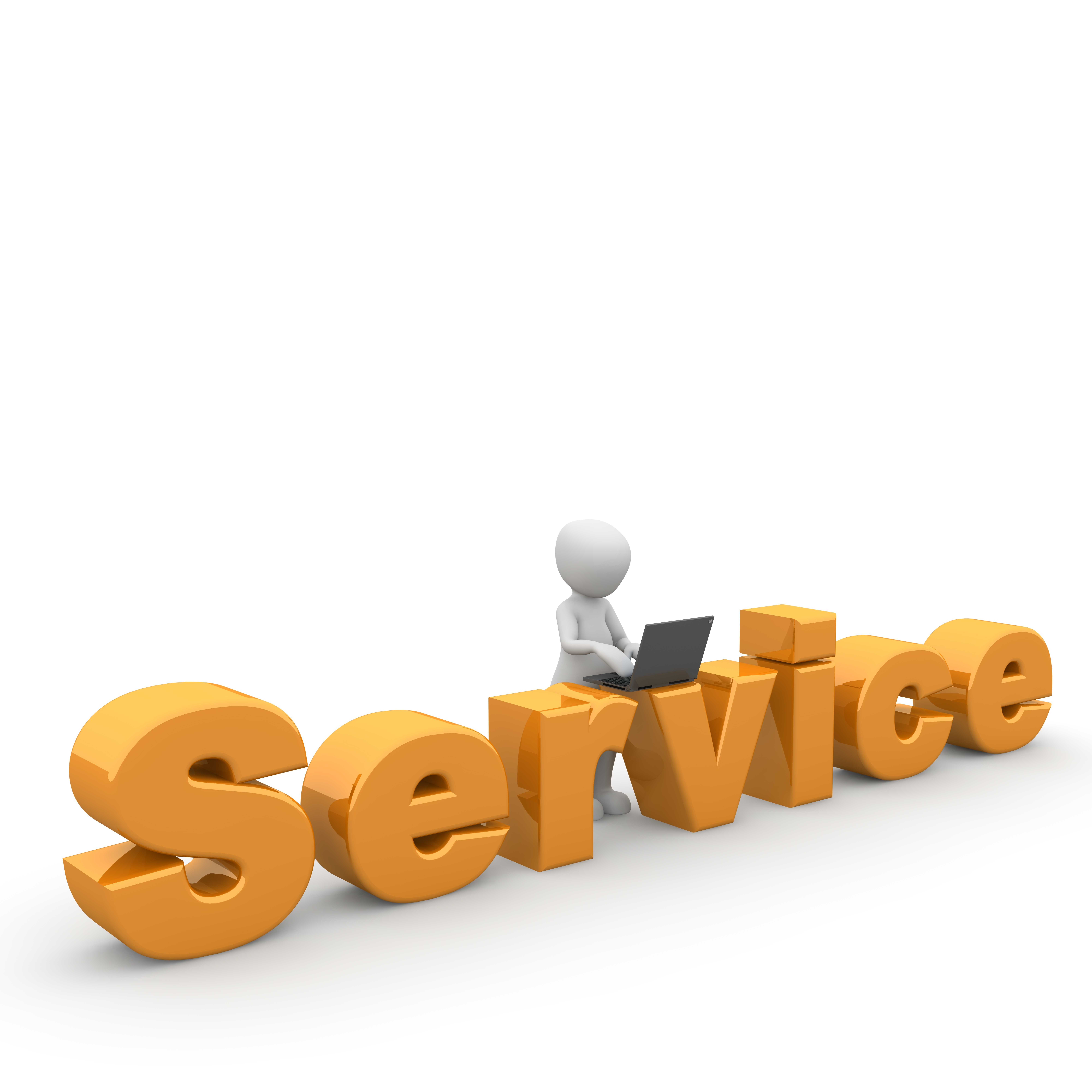 Customer Service Part 1 Why Focus on Good Service? Detroit Sponge