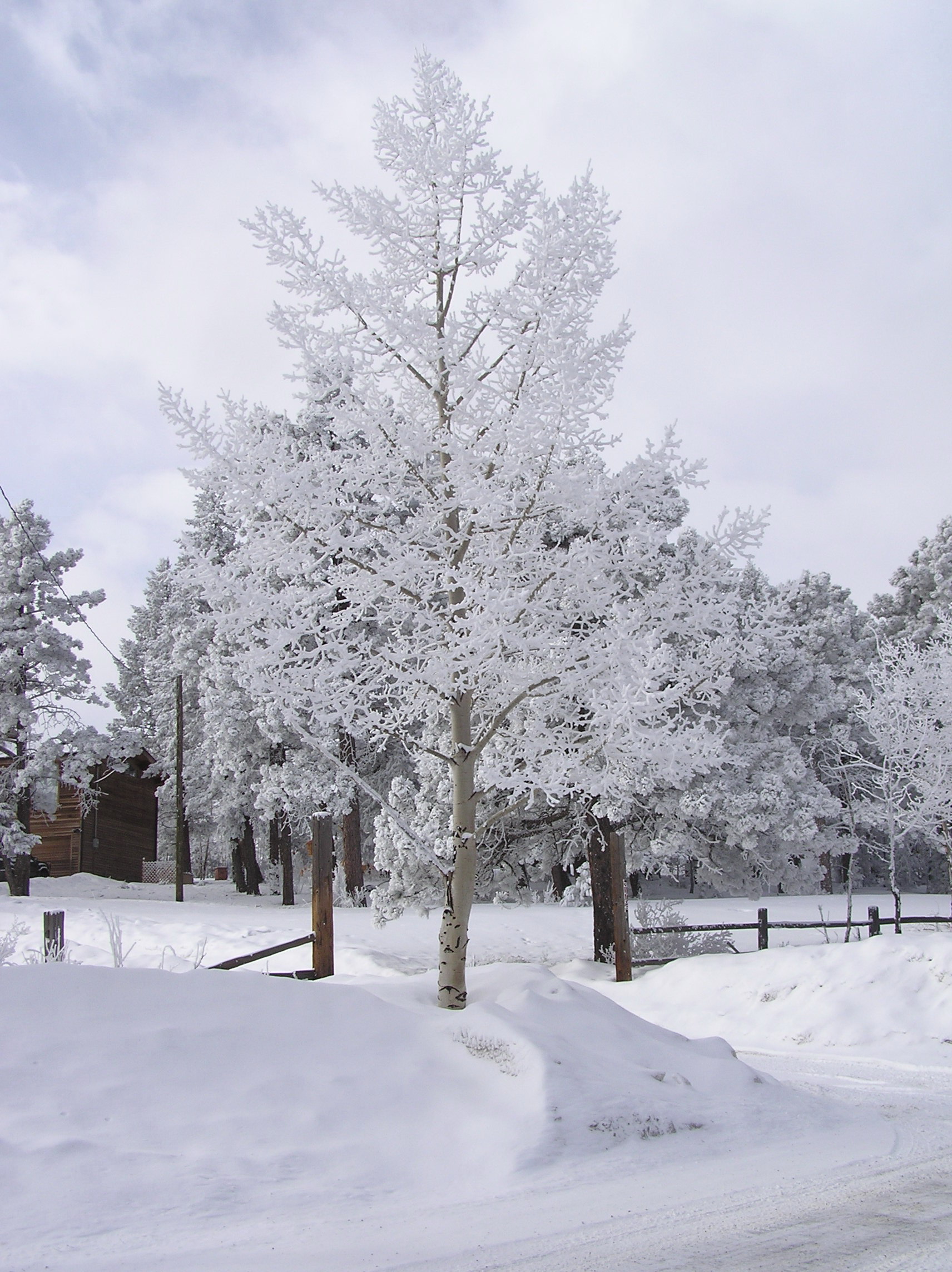 Brrrr ... It's Getting Cold!