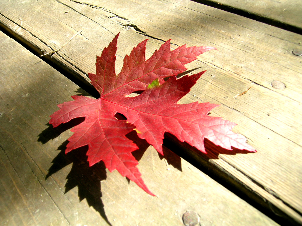 Ideas For Stretching Your Season