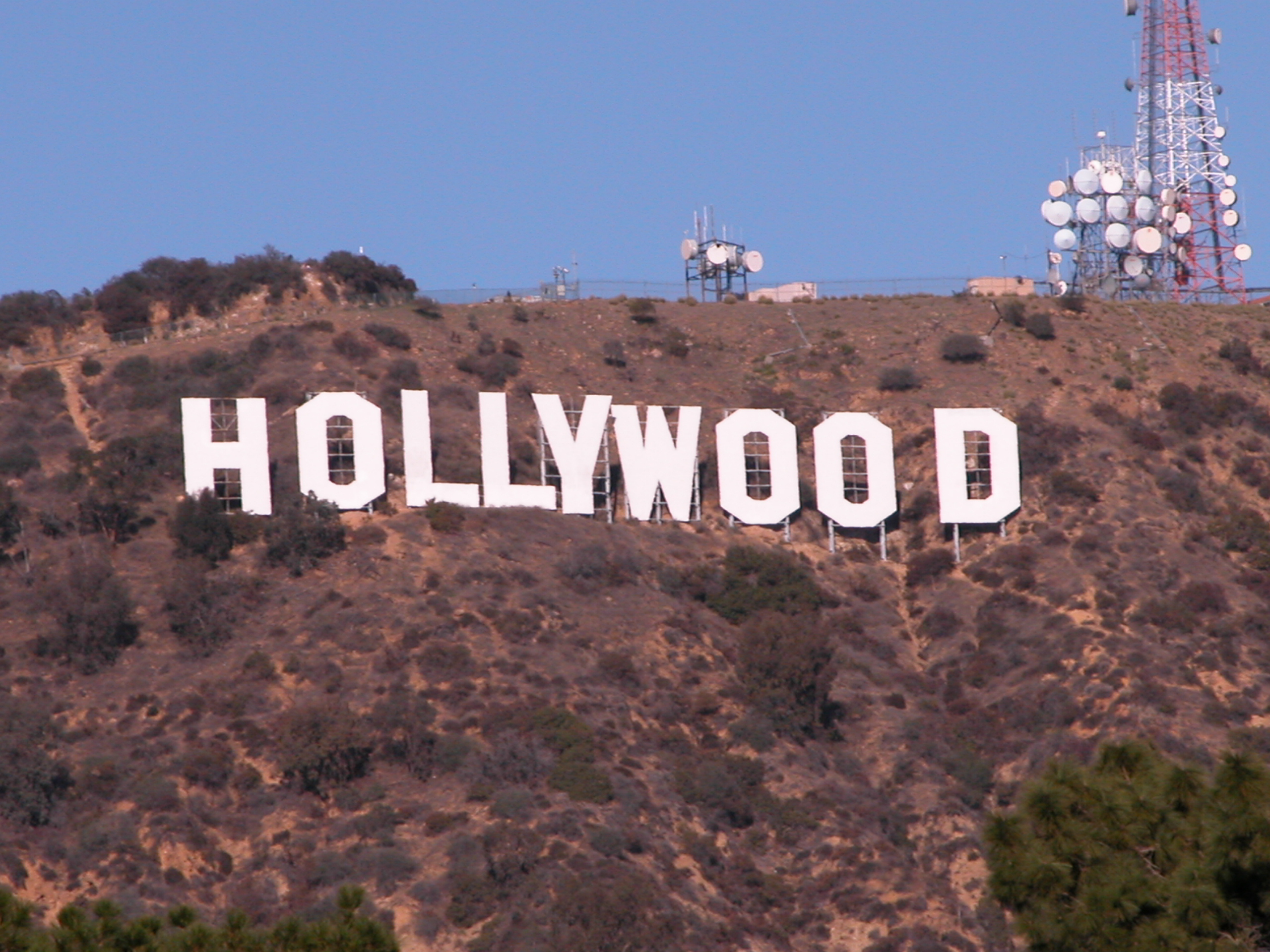 Detroit Sponge Goes Hollywood!