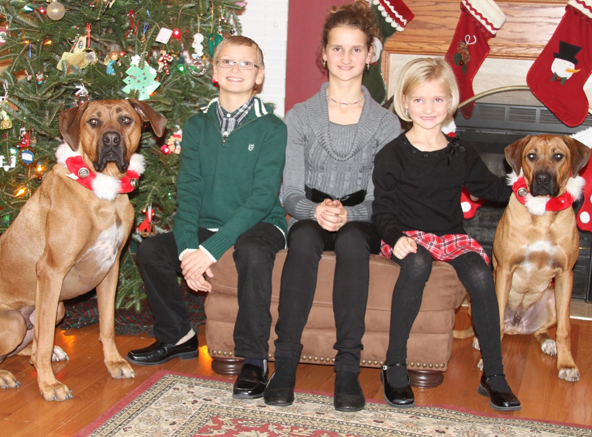 My Personal Christmas Wish For You ...