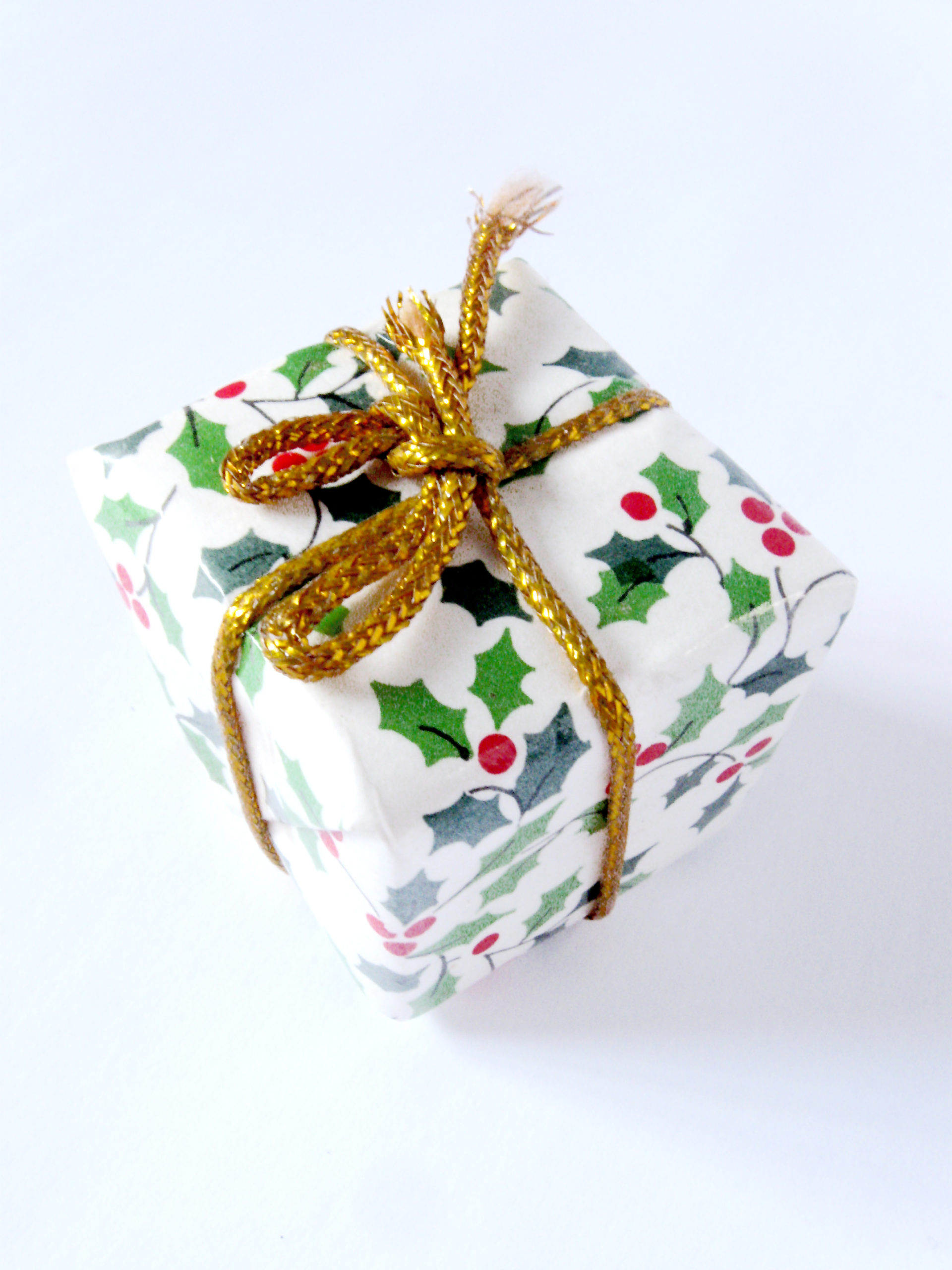 What to Get Your Favorite Window Cleaner For The Holidays