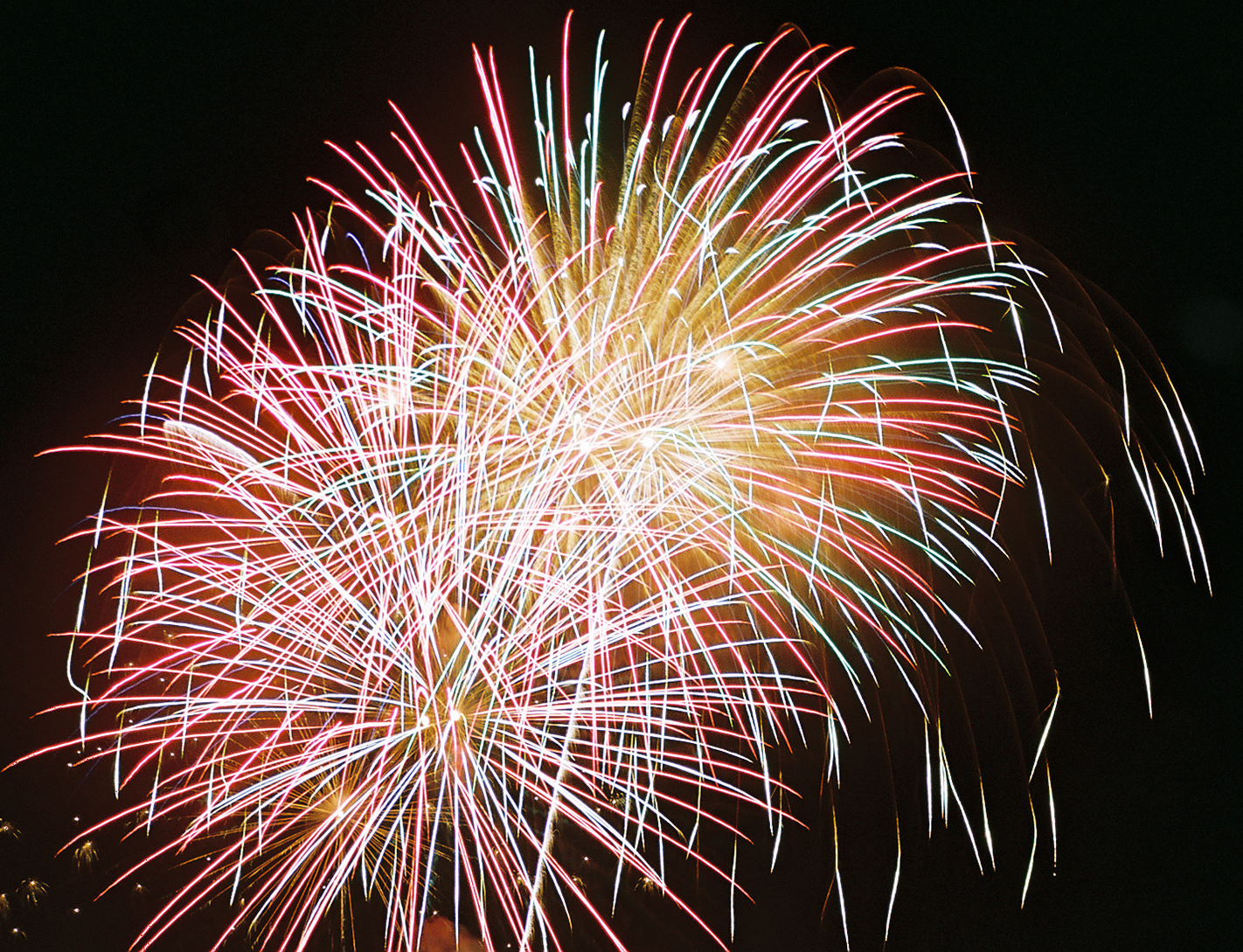 Happy New Year | Top 7 New Year's Resolutions