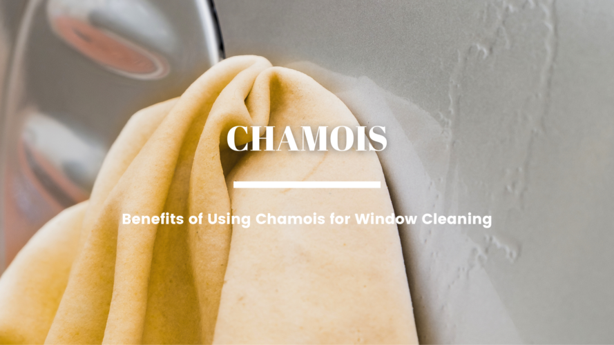 Benefits of Using Chamois for Window Cleaning  